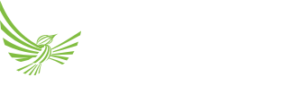 Halcyon logo